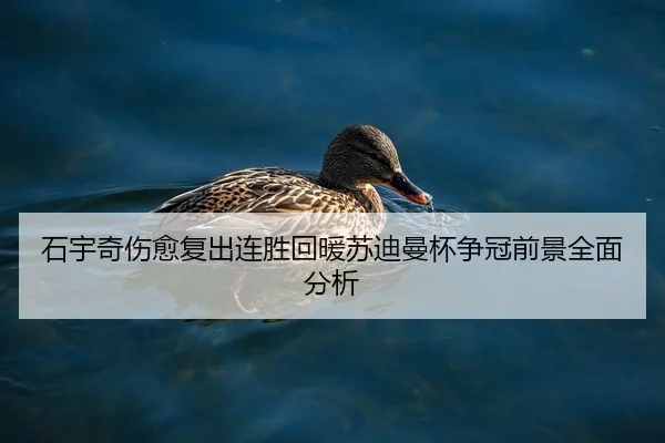 石宇奇伤愈复出连胜回暖苏迪曼杯争冠前景全面分析