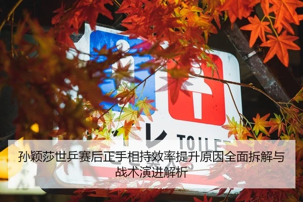 孙颖莎世乒赛后正手相持效率提升原因全面拆解与战术演进解析