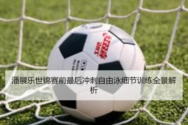 潘展乐世锦赛前最后冲刺自由泳细节训练全景解析